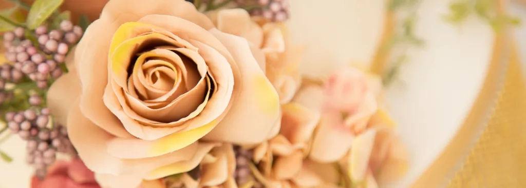 Female Asian Wedding Photographer Luton